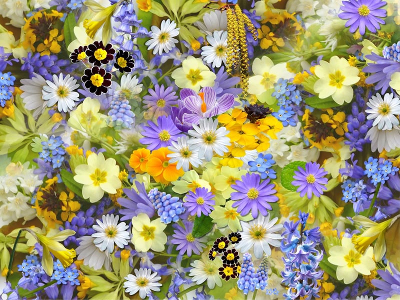 Floral Extravaganza